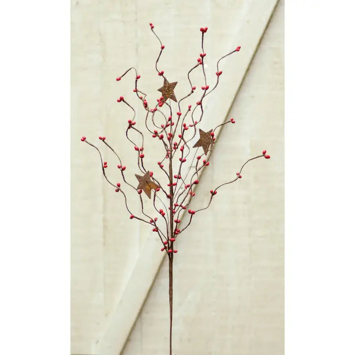24" Red Pip & Star Spray