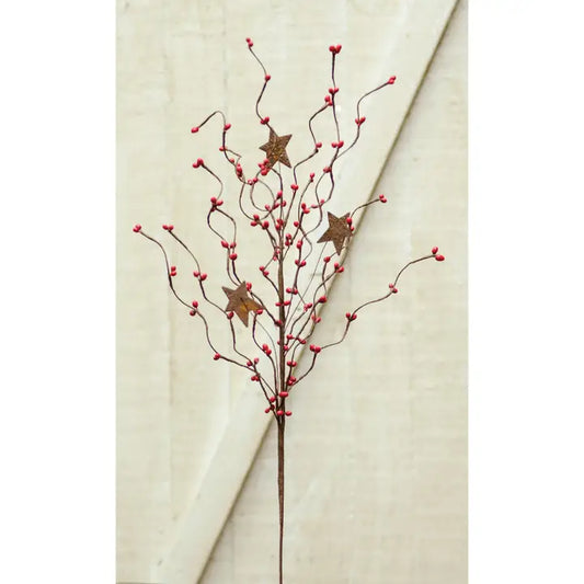 24" Red Pip & Star Spray